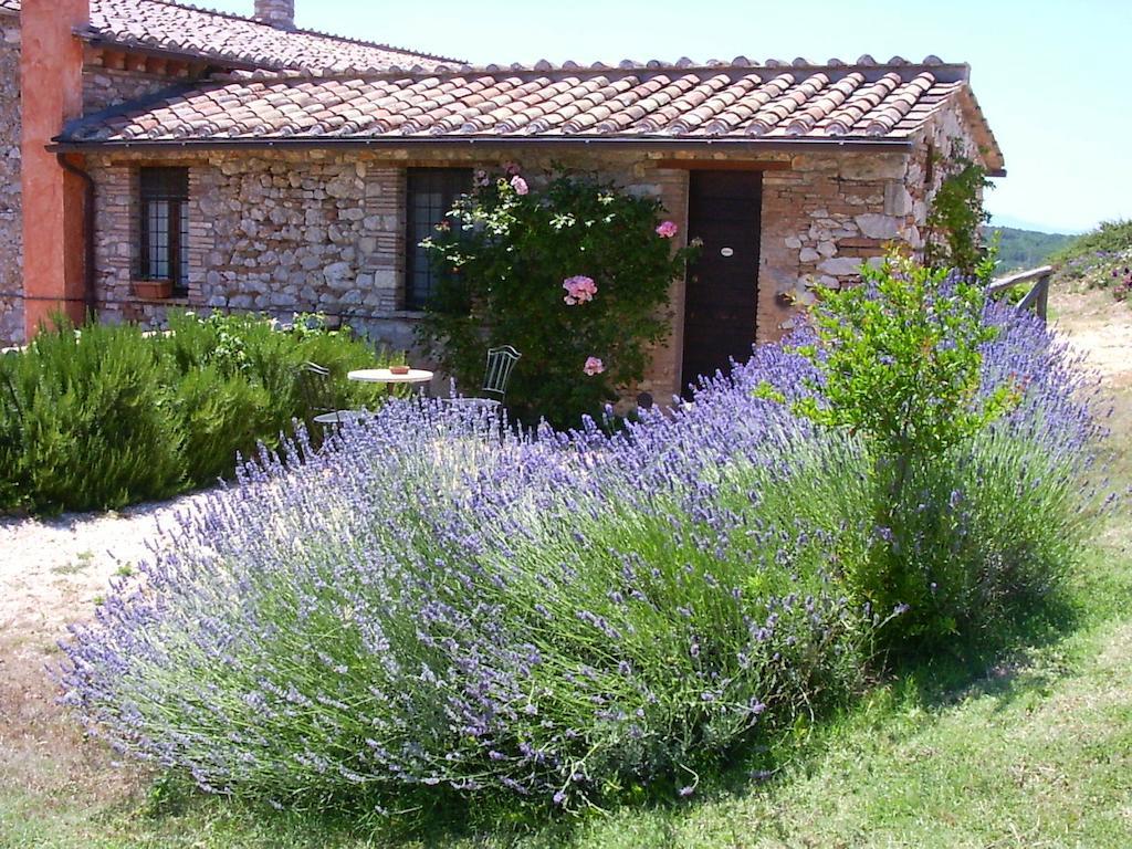 Podere Costa Romana Narni Buitenkant foto