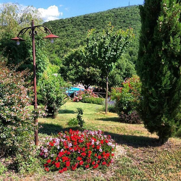 Podere Costa Romana Narni Buitenkant foto