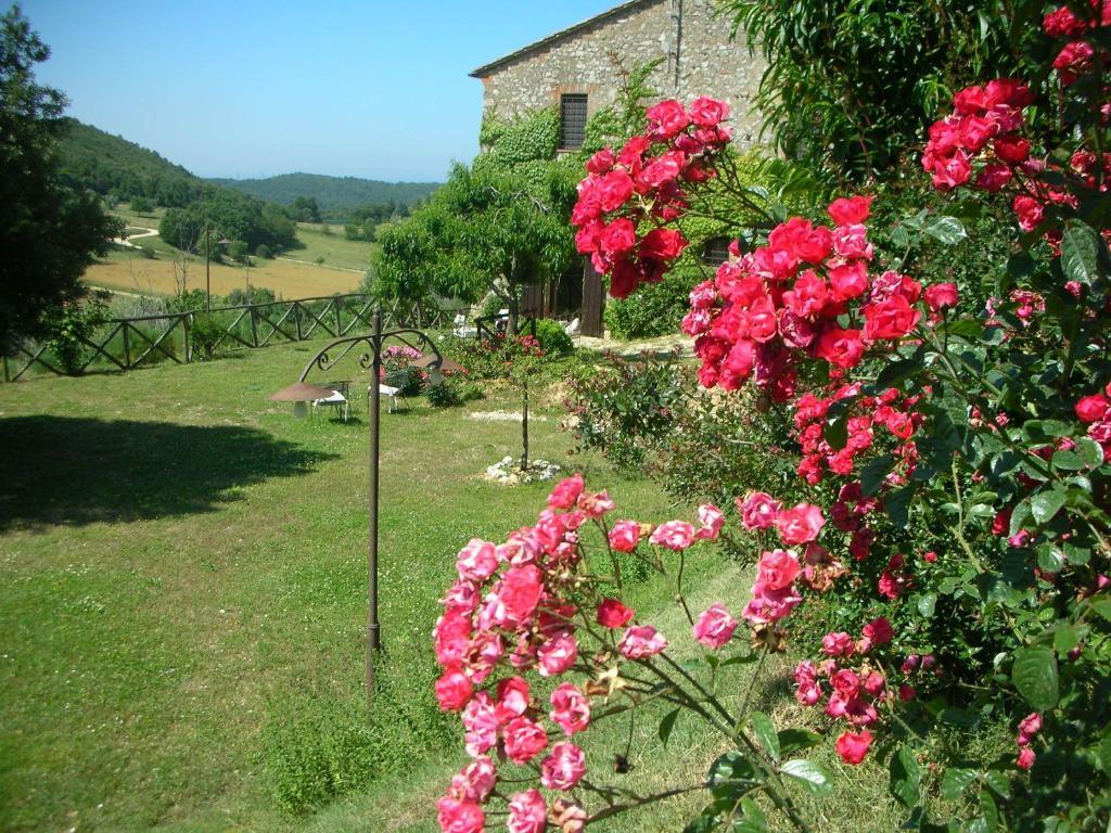 Podere Costa Romana Narni Buitenkant foto